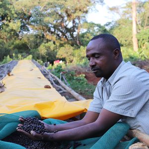 Mont58 Ethiopian Coffee