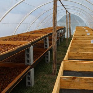 Mont58 Organic Honduran coffee
