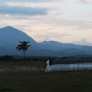 Mont58 Organic Honduran coffee