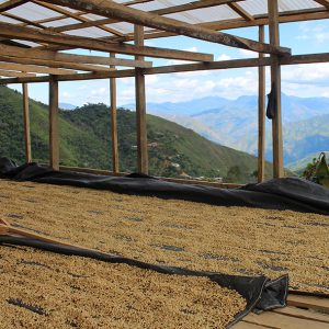 Mont58 Peruvian Coffee
