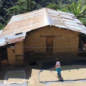 Mont58 Peruvian Coffee